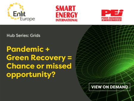 Webinar Recording: Pandemic + Green Recovery = Chance or missed opportunity?